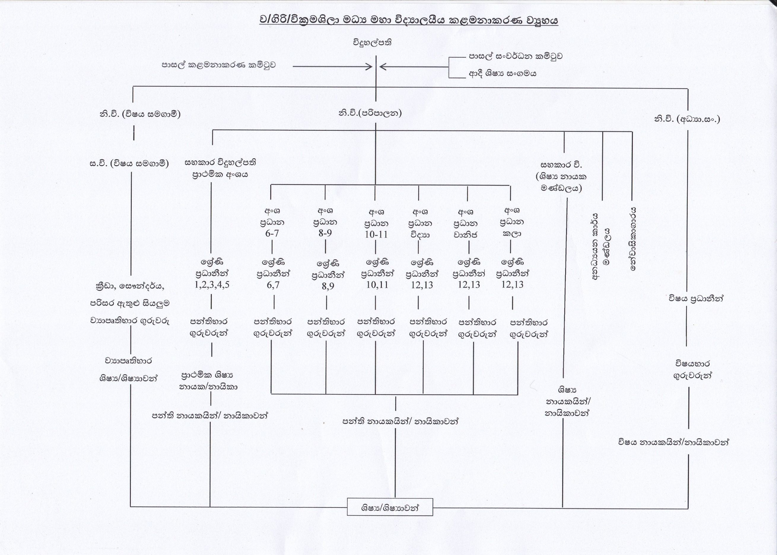 Management structure